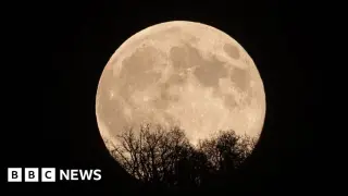 Autumn Night Sky: Pleiades, Meteors, and a Beaver Moon Take Center Stage