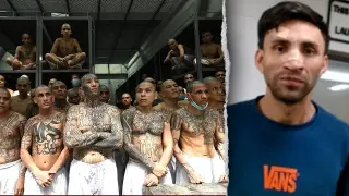 California judge frees MS-13 murder suspect after five months in immigration custody without bond review