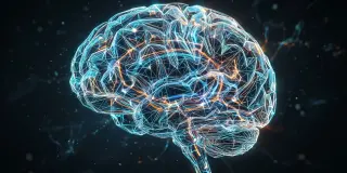 Brain uses a universal evidence-accumulation system for decisions, including new abstract rules