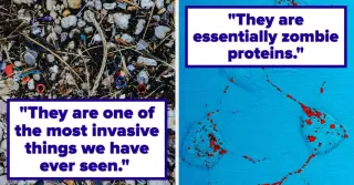 Terrifying Science Facts That Will Change How You See Reality