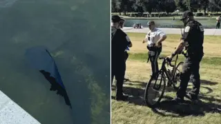 Trump vows jail time as Reflecting Pool vandalism arrests rise