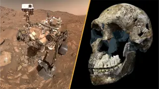 Martian organics, two-liquid water and all-female Homo naledi headline this week’s science news