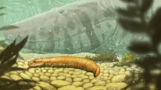 Ancient fossils upend the origin story of land-dwelling tetrapods