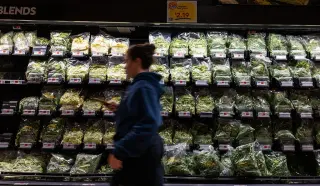 Lettuce-linked Cyclospora outbreak chills salad sales, signaling a possible rebound ahead