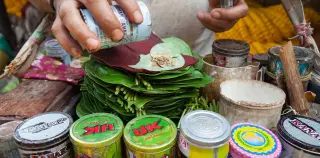 Ice-Age teeth uncover betel nut as humanity’s earliest habit-forming drug