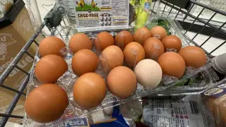 Eggs Linked to Lower Alzheimer’s Risk in Large Long-Term Study