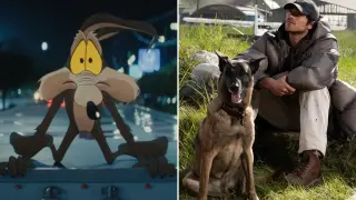 Coyote Vs. Acme Leads Previews as Dog Stars Debuts