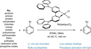 New Ligand Design Enables Low-Loading Nickel Catalysis for Broad C-Heteroatom Couplings