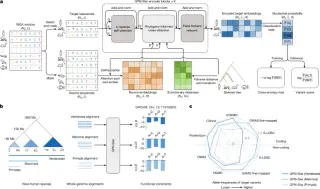 Evolutionary trees power a genome-wide variant predictor