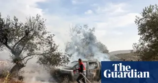 Coordinated settler violence disrupts West Bank olive harvest, injuring journalists and farmers