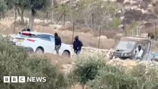 Masked Settlers Assault European Diplomatic Convoy in West Bank Olive Harvest