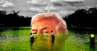 Drainage Debunks Trump's Reflecting Pool Vandal Claims