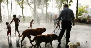 New York Braces for Humid Heat Wave That Feels Like 109°F