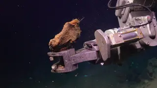 Deep-Sea Mining Hazard: USGS Finds Sulfide Rocks Can Ignite Upon Surface Exposure