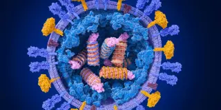 Early Flu Surge Detected in Specific Region, Prompting Doctor Warnings