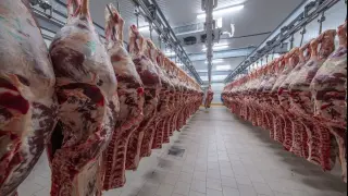 Trump’s Beef Tariff Cut: Quick Grocery Relief, Not a Cure for Inflation