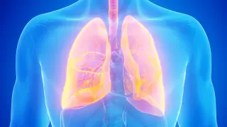 Gamma-Delta T Cells Identified as Key to Defeating Small Cell Lung Cancer