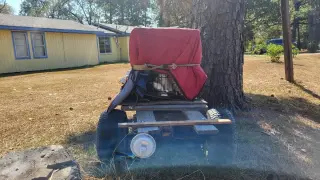 Louisiana homeowner discovers eight abandoned kittens hidden in a trailer in her yard