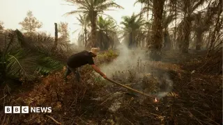 Singapore Sues 10 Firms as Borneo Haze Chokes Region