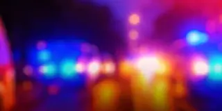 Greenville restaurant incident nets detention for Panettiere’s partner and arrest for his brother