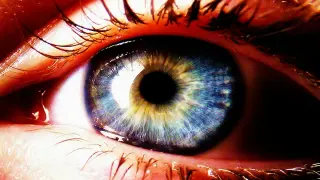 Retina Aging Signals Osteoporosis Risk, New Findings Show