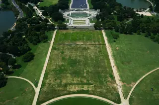 National Mall to close sections for turf rehab through January 2027
