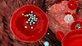 Microplastics in the Body: Uncertain Risks Prompt Calls for Precaution