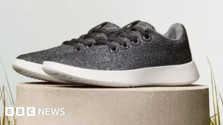 Allbirds pivots to AI, rebrands as NewBird AI, sparking a stock surge