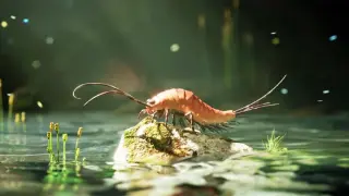 24-legged fossil reclassified as a new insect species reshapes early insect history