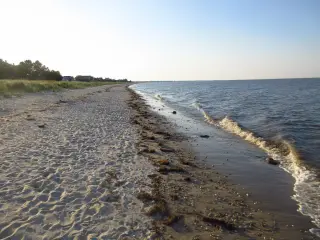 Delaware’s Redbird Reef: A 24-Metre-Deep Subway Graveyard Fueling Local Economy
