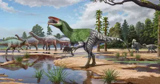 Century-Old Drawer Fossil Reveals First European Megaraptoran