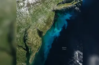 Color-Splashed Seas Signal Spring Phytoplankton Bloom, NASA Images Show