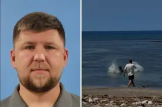 Tourist Defends Rock Throw at Hawaiian Monk Seal Aimed at Protecting Turtles