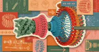 Protons on a Spin: The Proton Motive Force Powers Bacteria’s Tiny Engine