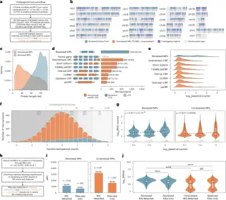 Atlas of brain microproteins links tiny MKKS peptide to microglial energy in Alzheimer's