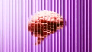 Pilot Study Shows 10-Minute Ultrasound Sessions May Reduce Delusions in Schizophrenia
