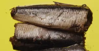 Tiny Sardines, Big Nutrition: A Budget-Friendly Superfood