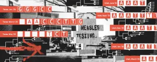 Genomics in the Measles Debate: Is the U.S. Still Endemic?
