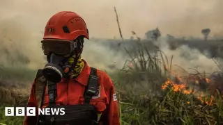 Super El Niño Triggers Severe Haze Across Southeast Asia