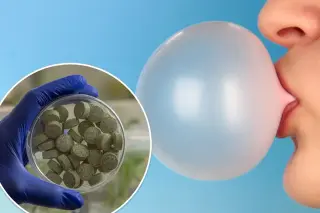 Engineered bean gum shows promise against mouth and throat cancer risk