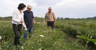 Grasse’s fragrant revival: the town that scents the world again