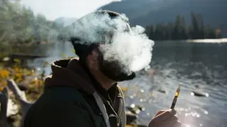 Regular cannabis use linked to higher morning cortisol, study suggests