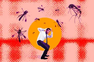 Public Backlash Over Google's Plan to Release 32 Million Mosquitoes
