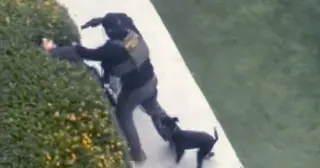 North Hollywood ICE Operation Ends With Gun Pointed at Bystander's Face