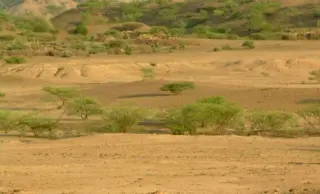100,000-Year-Old Ethiopian Site Reveals Repeated Early-Human Visits