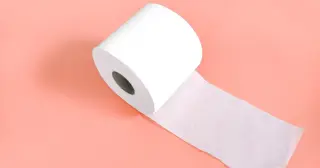 Experts Reject 'Poop Maxxing': Normal Bowel Habits Are a Range, Not a Daily Ritual
