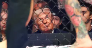 Trump Beams at Paulo Costa as Iran Talks Unravel, Politics Meets UFC Glamour