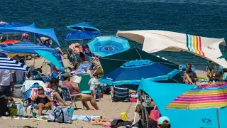 Cape Cod's Great White Ecotourism Boom