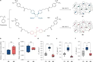 Mechanophore-crosslinked polymers boost energy absorption under ultrafast impacts