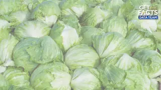 2026 Cyclospora Outbreak Becomes Largest U.S. Foodborne Illness Event Linked to Lettuce